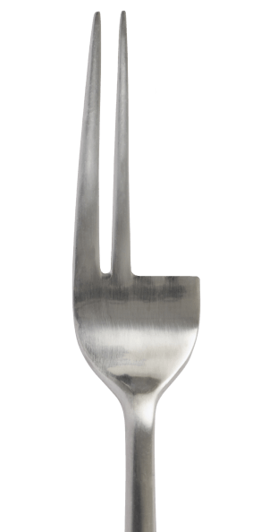 Fork Missing Tines