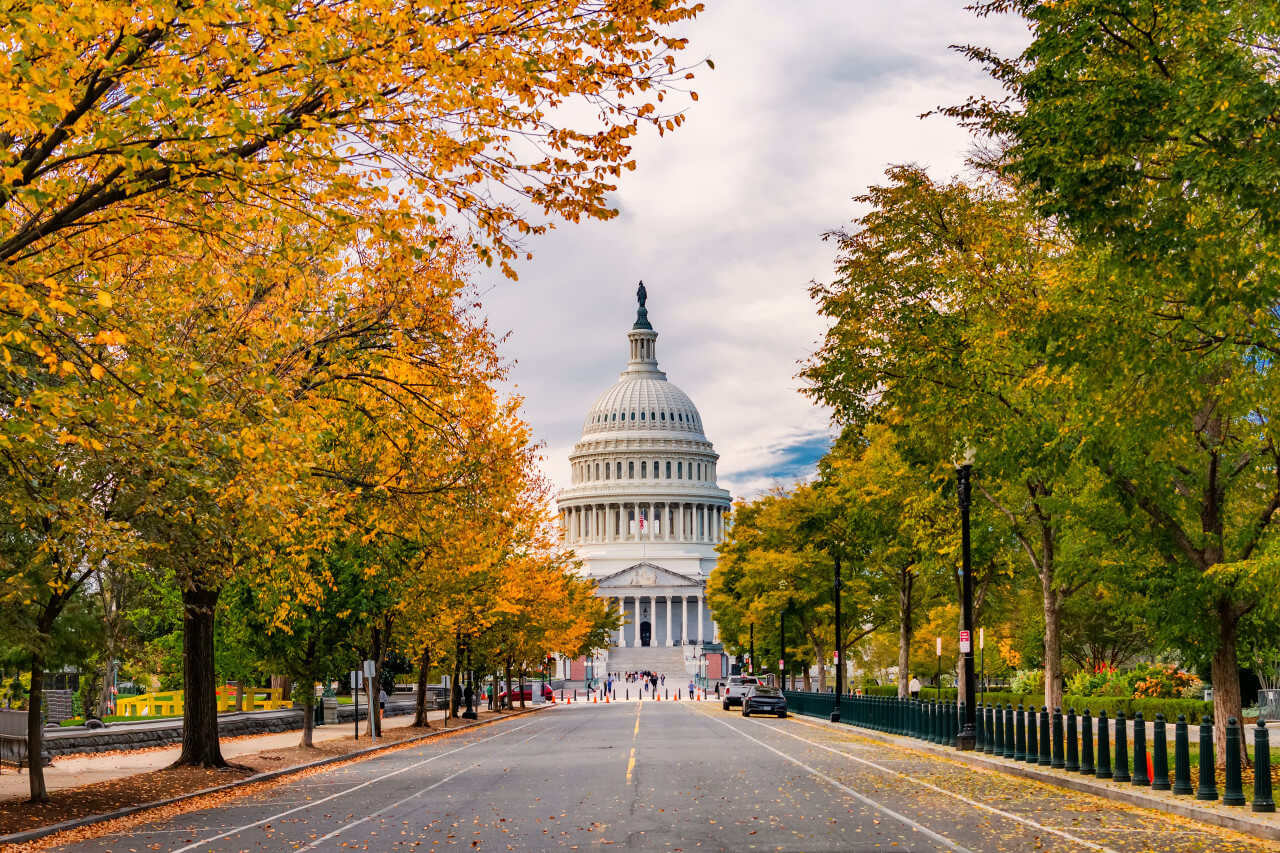 View of the U.S. Capitol building framed by autumn trees with yellow leaves lining the street.