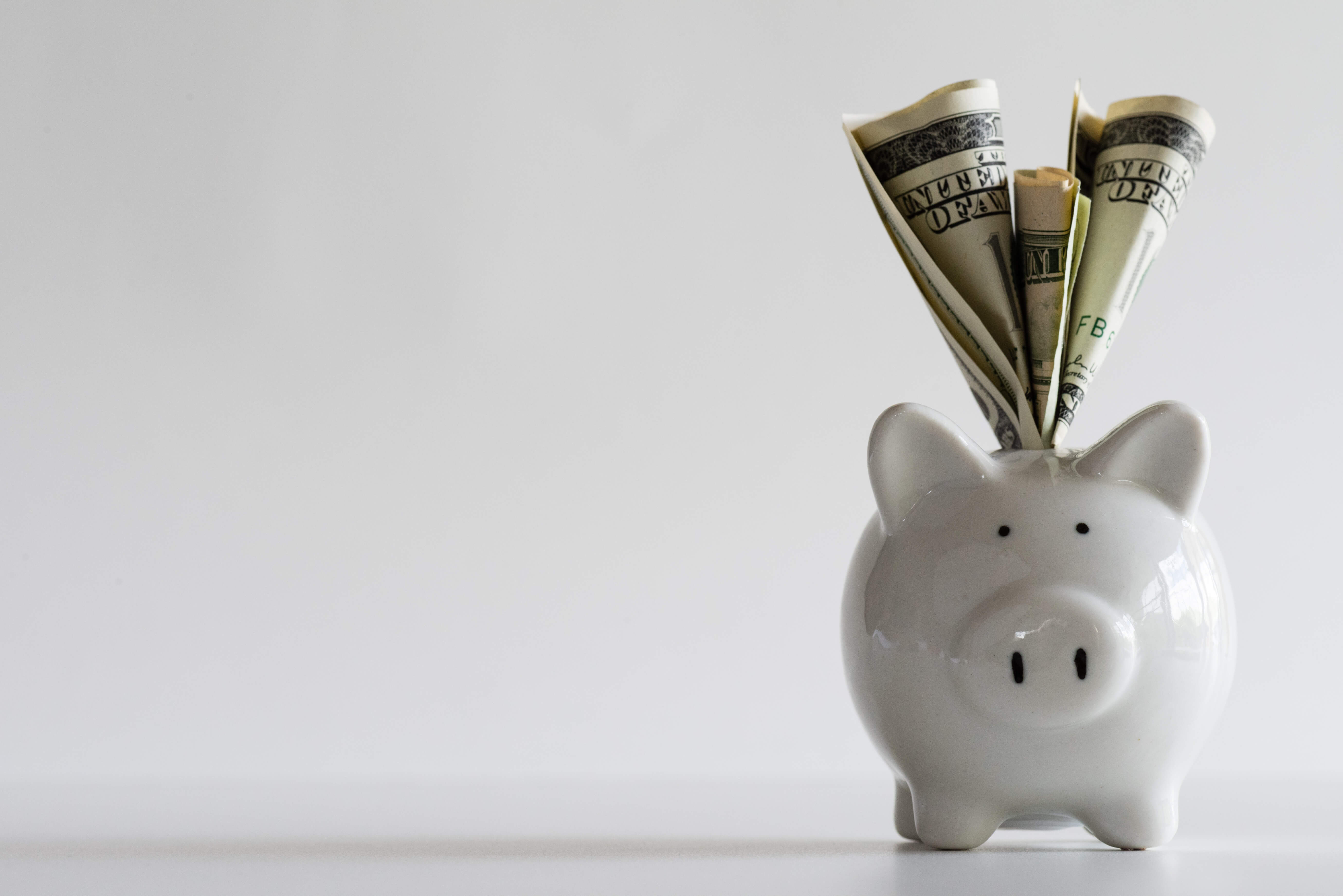 White piggy bank with dollar bills protruding from the top against a plain background.