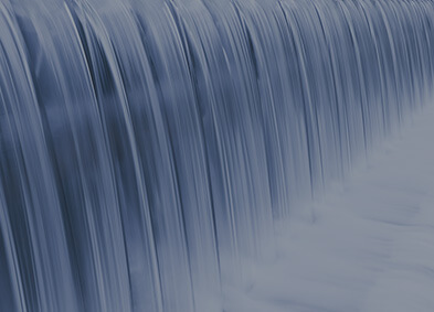 Conservation Graphic