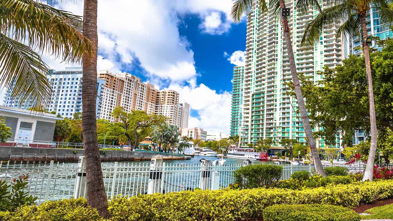 Market Intelligence: Q4 Florida Update